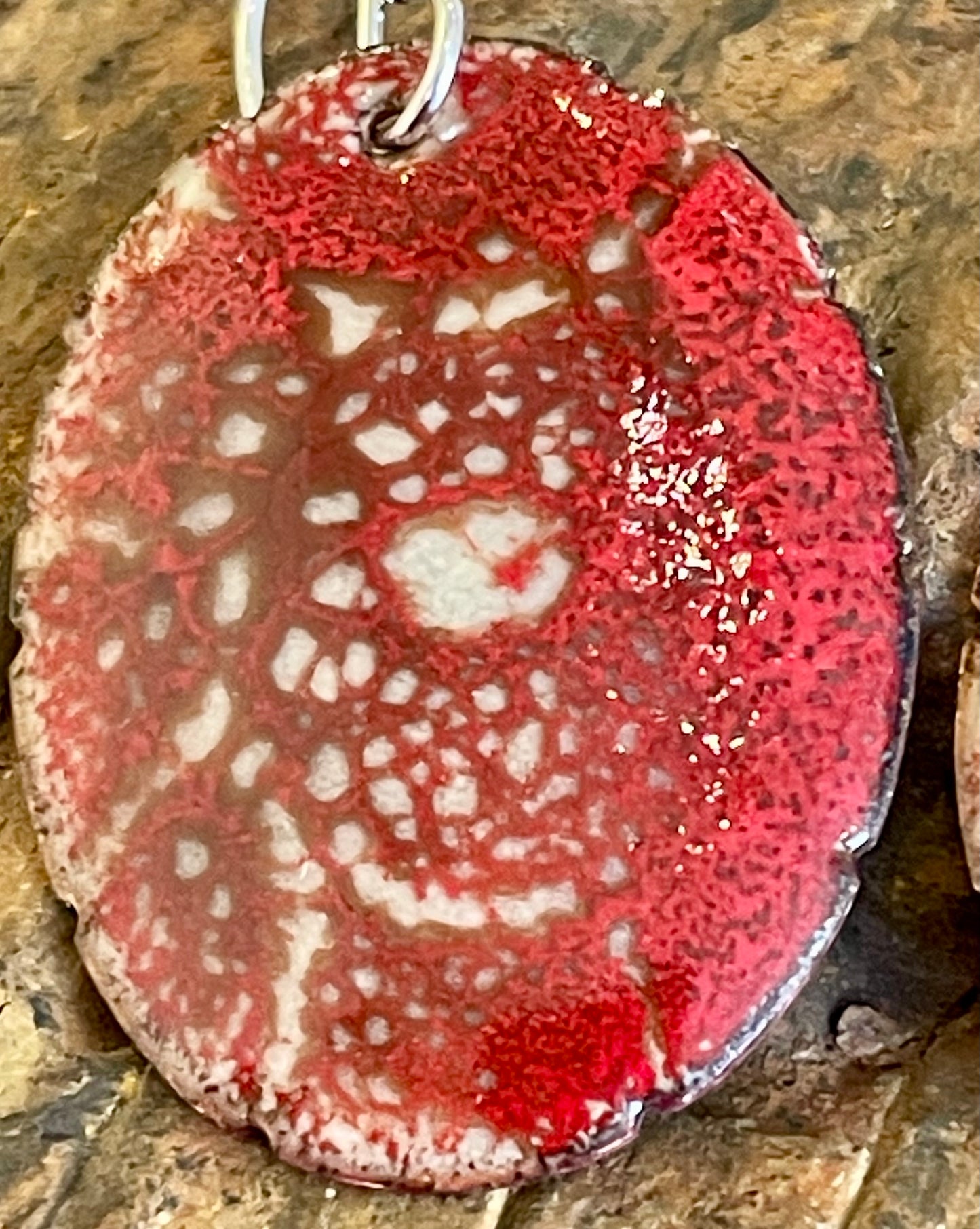 Turtle Shells