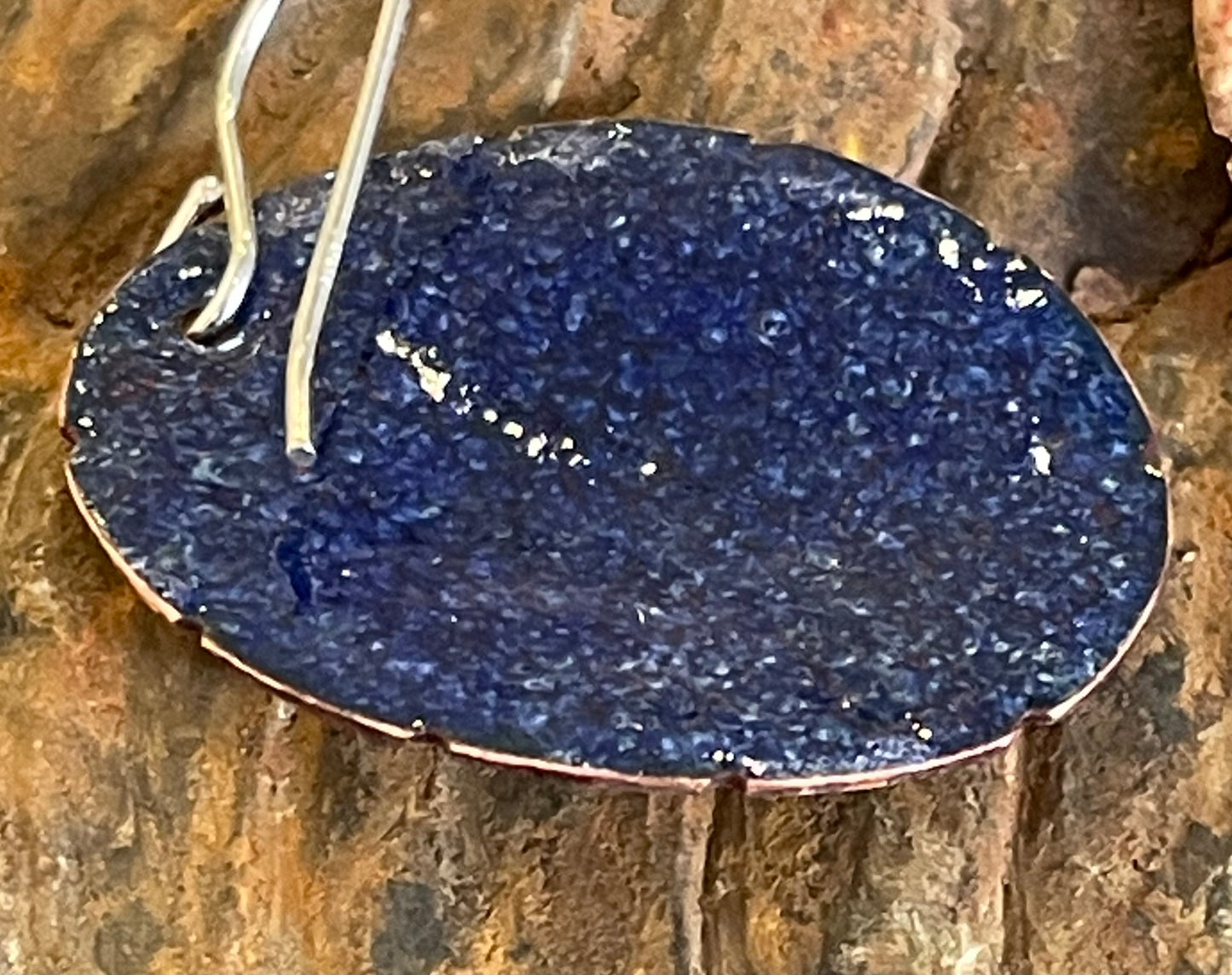 Turtle Shells